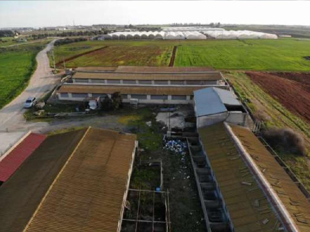 Property for Sale: Commercial (Warehouse) in Ormidia, Larnaca  | 1stclass Homes PH