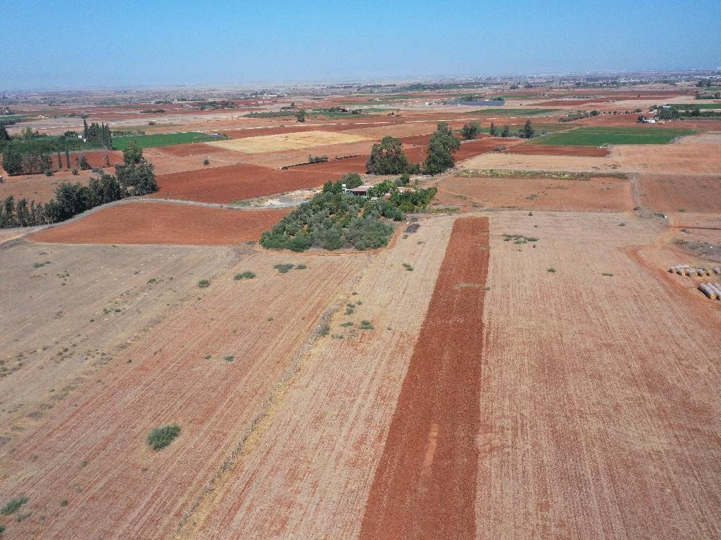 Property for Sale: (Agricultural) in Avgorou, Famagusta  | 1stclass Homes PH