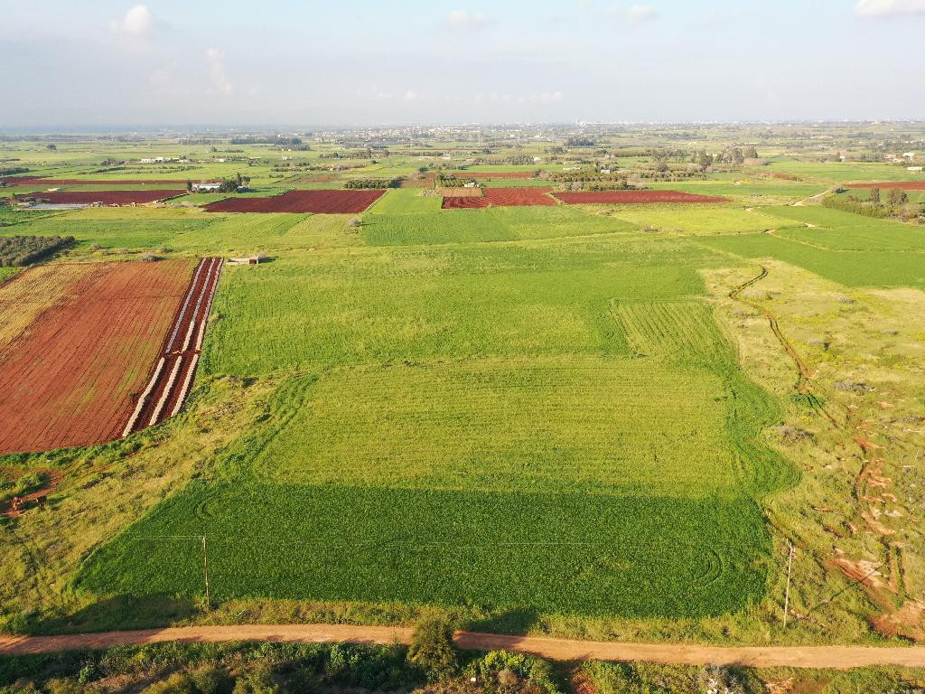 Property for Sale: (Agricultural) in Frenaros, Famagusta  | Key Realtor Cyprus