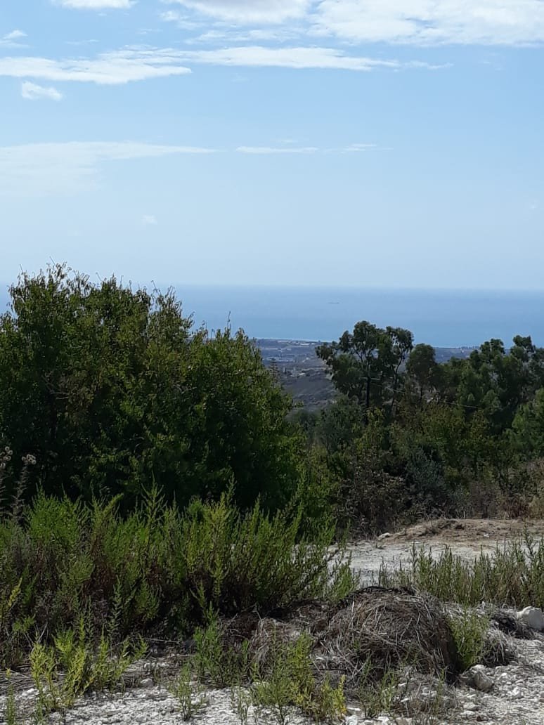 Property for Sale: (Residential) in Armou, Paphos  | Key Realtor Cyprus