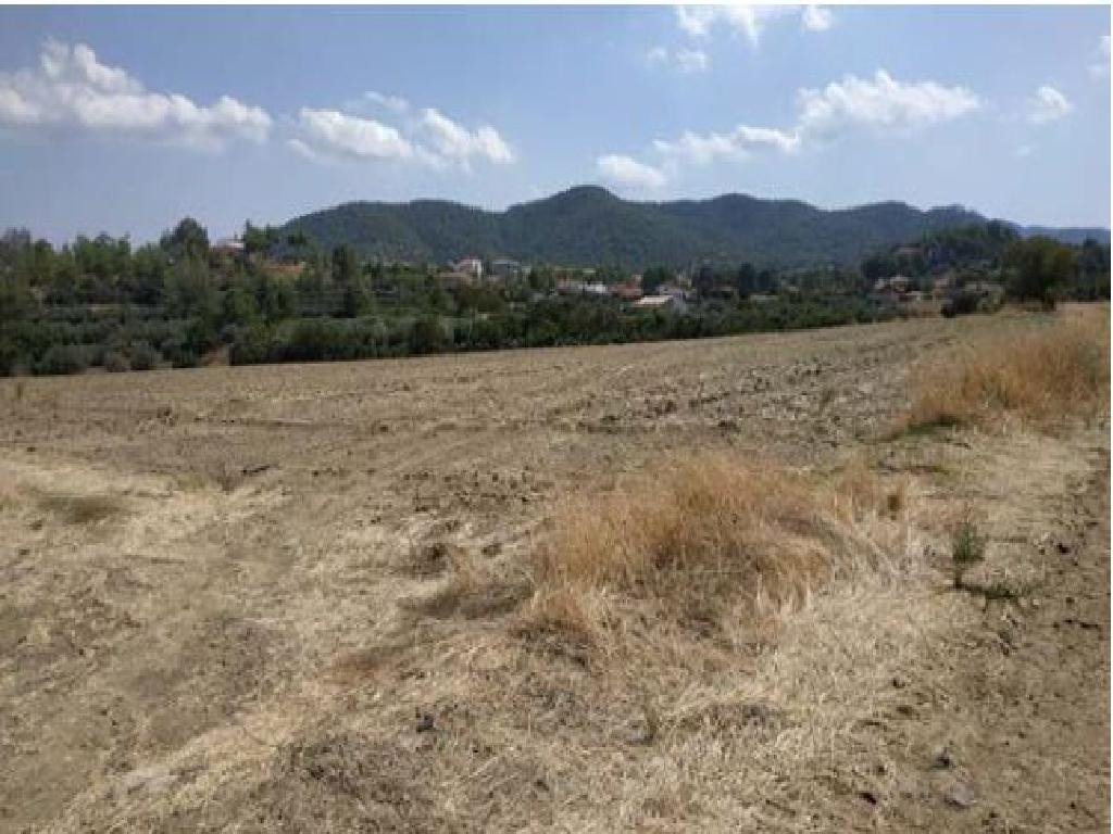 Property for Sale: (Residential) in Kalo Chorio Orinis, Nicosia  | Key Realtor Cyprus