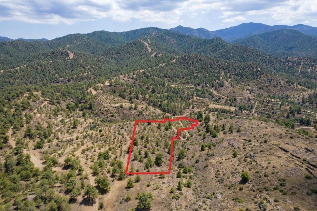 Property for Sale: (Agricultural) in Agia Marina Xyliatou, Nicosia  | Key Realtor Cyprus