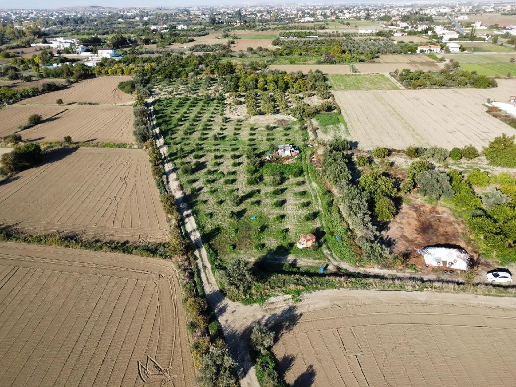 Property for Sale: (Residential) in Pera Oreinis, Nicosia  | Key Realtor Cyprus