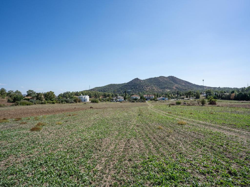 Property for Sale: House (Detached) in Sia., Nicosia  | Key Realtor Cyprus