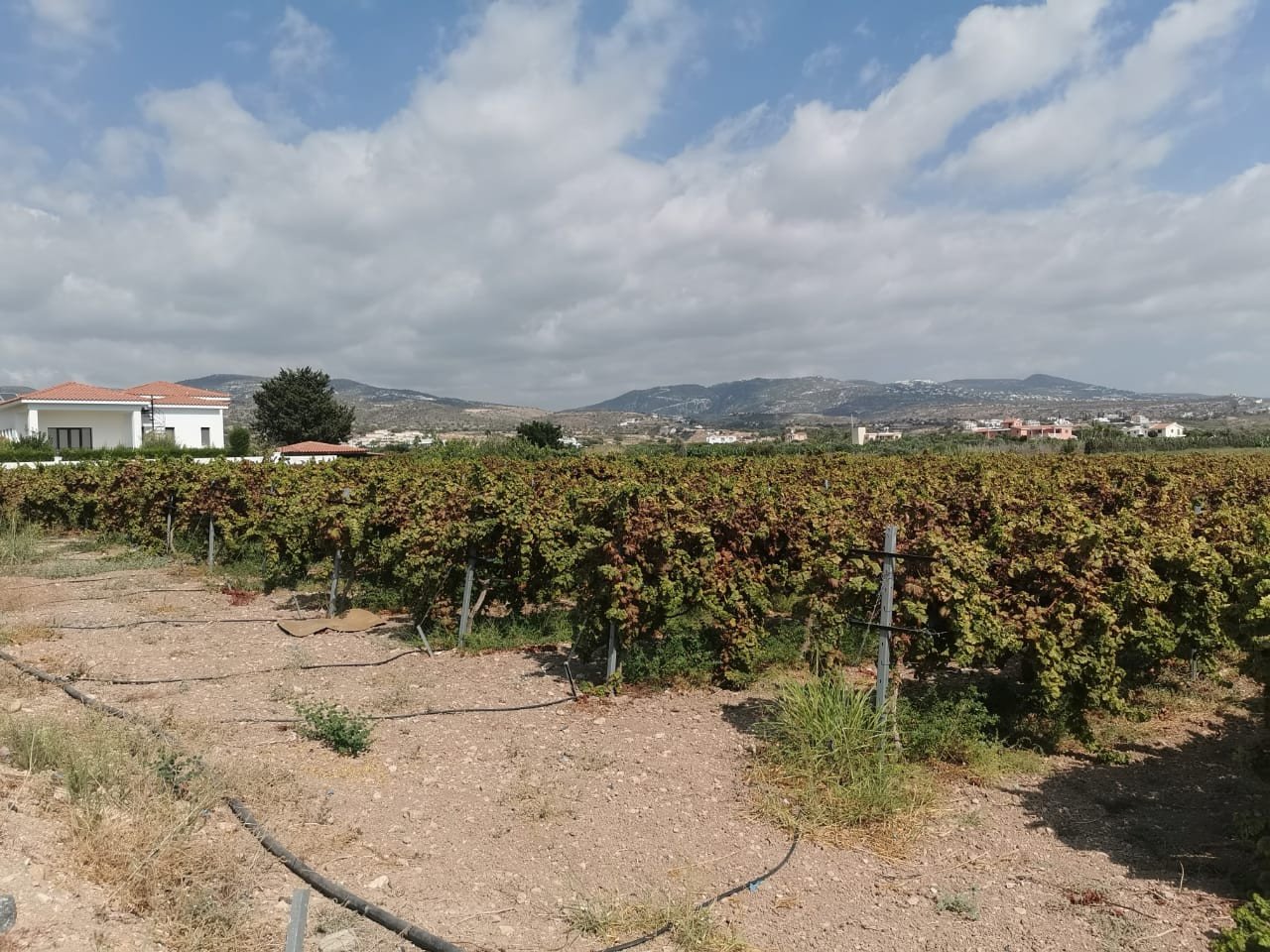 Property for Sale: (Residential) in Coral Bay, Paphos  | Key Realtor Cyprus