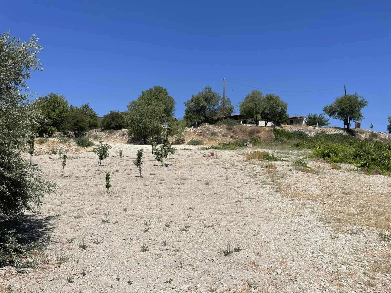 Property for Sale: (Residential) in Silikou, Limassol  | Key Realtor Cyprus