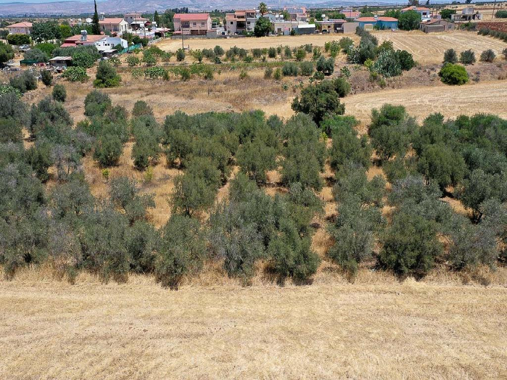 Property for Sale: (Residential) in Astromeritis, Nicosia  | Key Realtor Cyprus