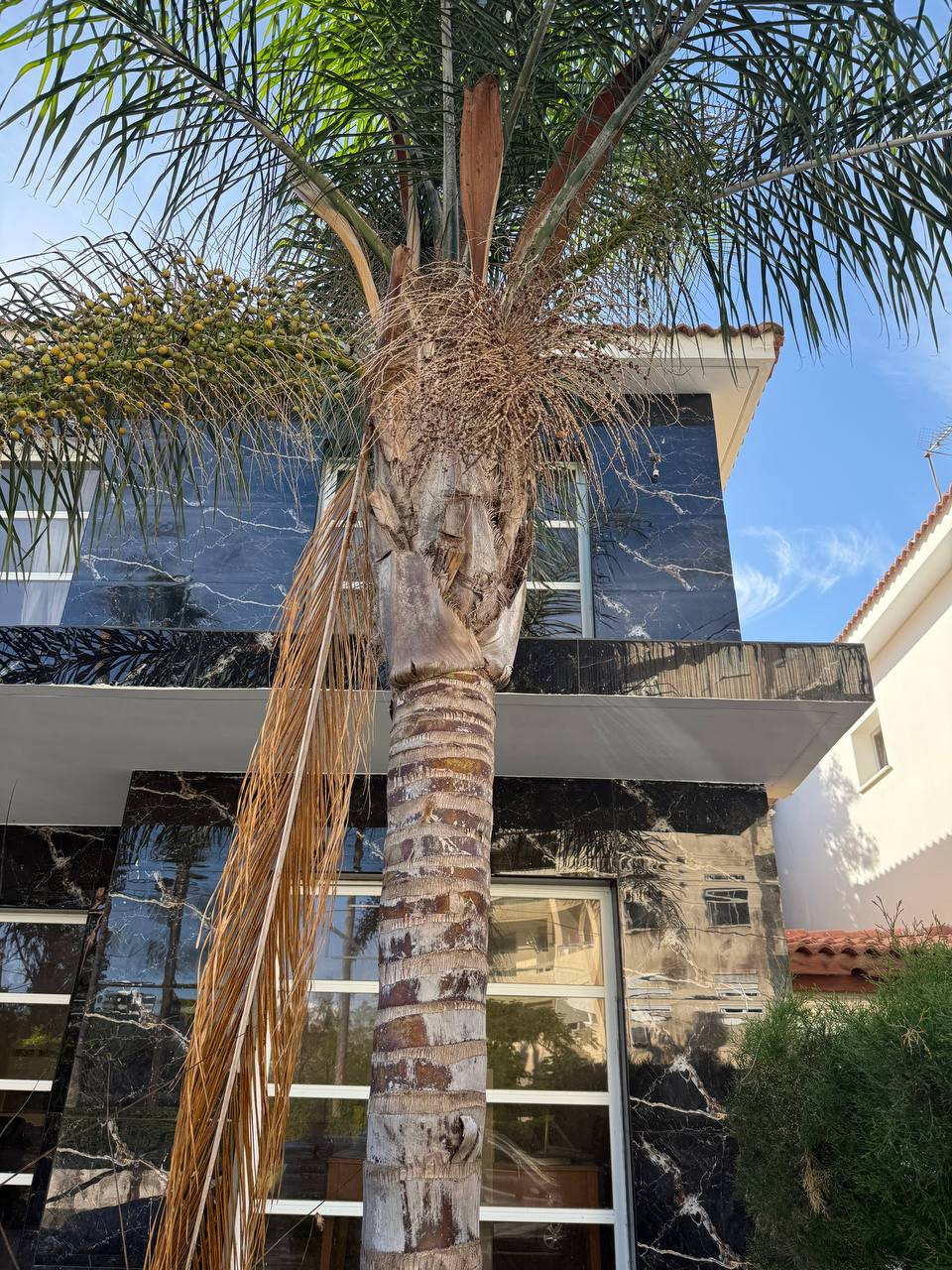 Property for Sale: House (Semi detached) in Crowne Plaza Area, Limassol  | Key Realtor Cyprus