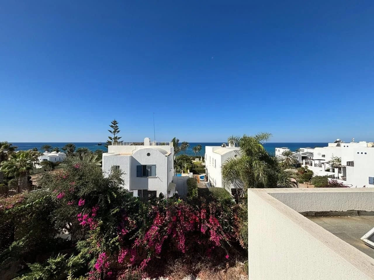Property for Sale: House (Detached) in Chlorakas, Paphos  | Key Realtor Cyprus