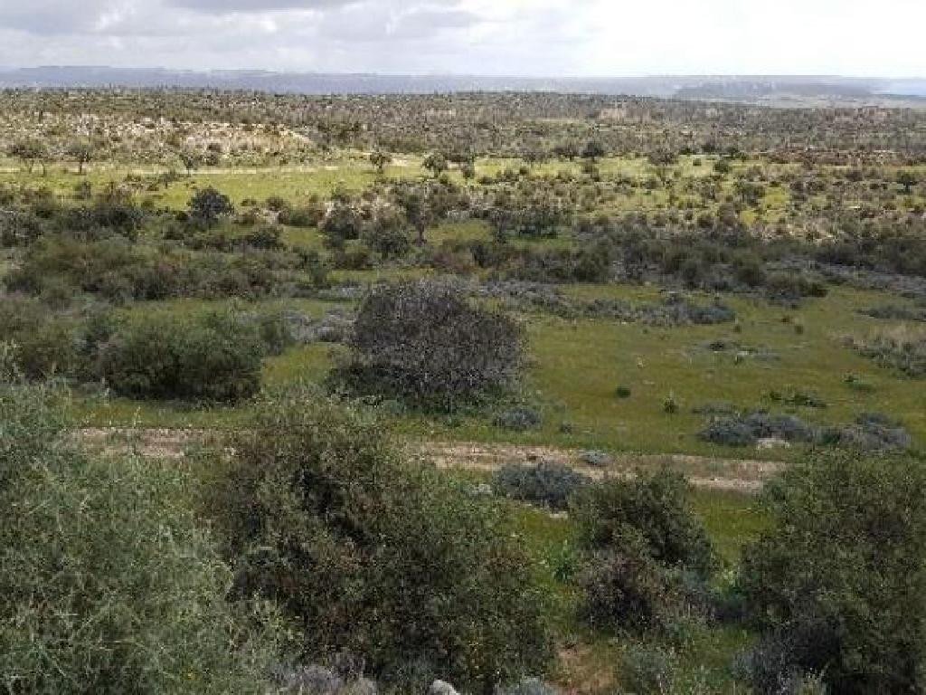 Property for Sale: (Residential) in Pissouri, Limassol  | Key Realtor Cyprus