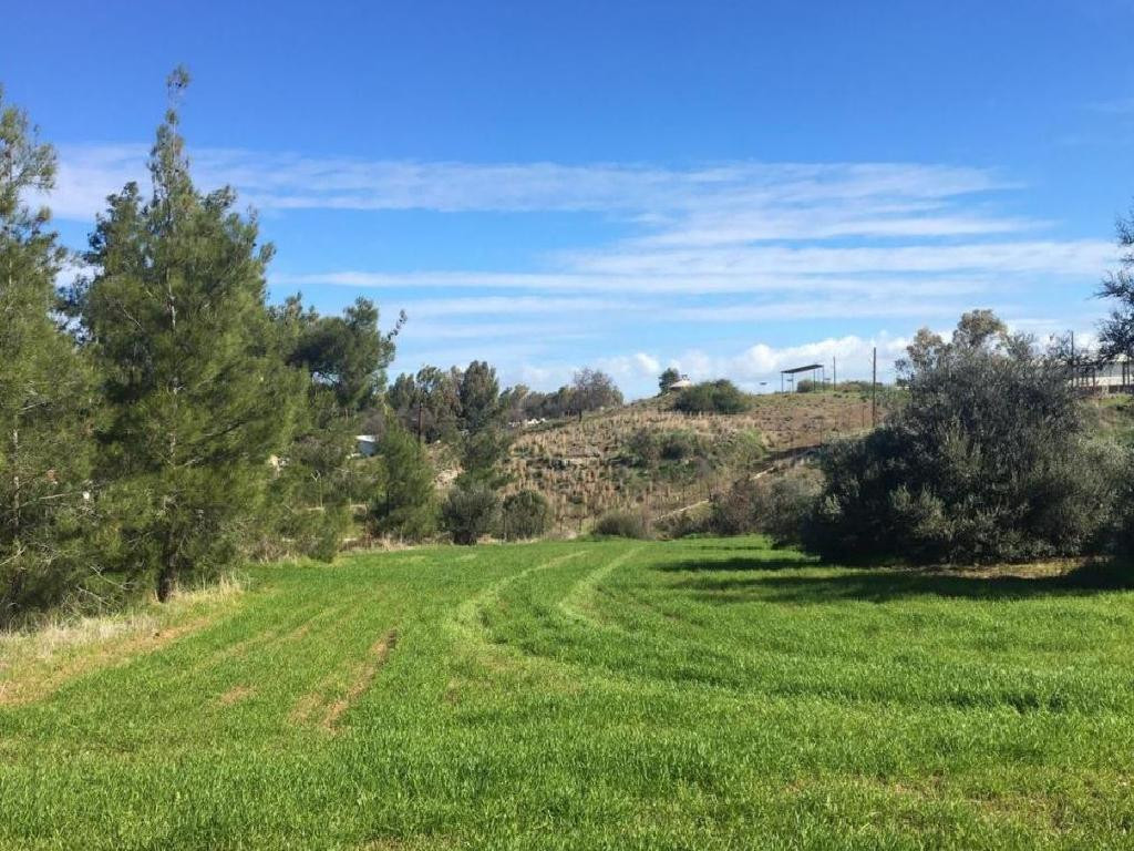 Property for Sale: (Residential) in Klirou, Nicosia  | Key Realtor Cyprus