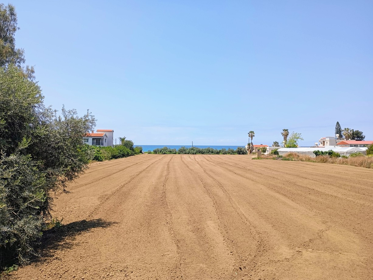 Property for Sale: (Residential) in Agia Marina Chrysochou, Paphos  | Key Realtor Cyprus