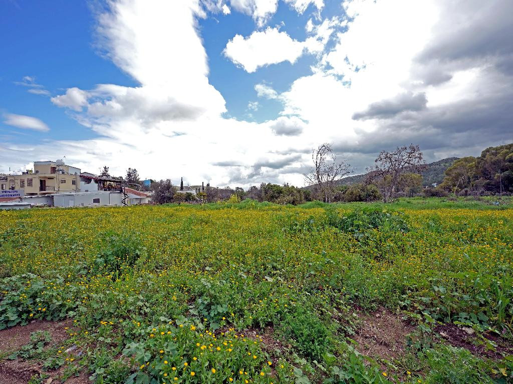 Property for Sale: (Residential) in Psevdas, Larnaca  | Key Realtor Cyprus