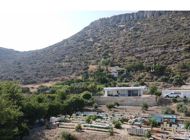 Property for Sale: House (Detached) in Finikaria, Limassol  | Key Realtor Cyprus